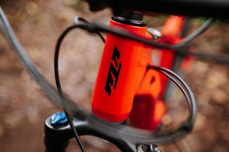 Madeira: Full Day E-Bike Rental - Final Thoughts