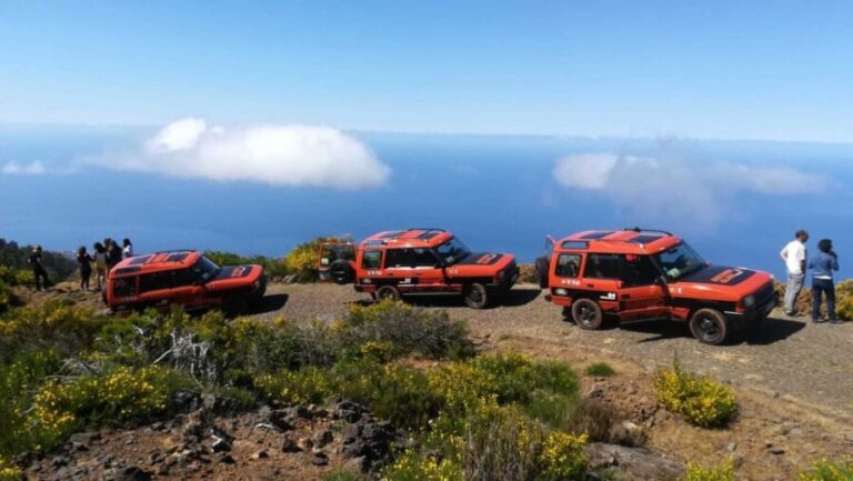 Madeira: Full-Day Porto Moniz Jeep Tour - The Itinerary: What You Can Expect