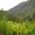 Madeira: Guided Full-Day Rabaçal Walk - The Highlights: What Makes This Tour Special