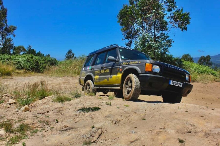 Madeira: Half-Day 4x4 Highlights Tour for Cruise Passengers - Final Thoughts