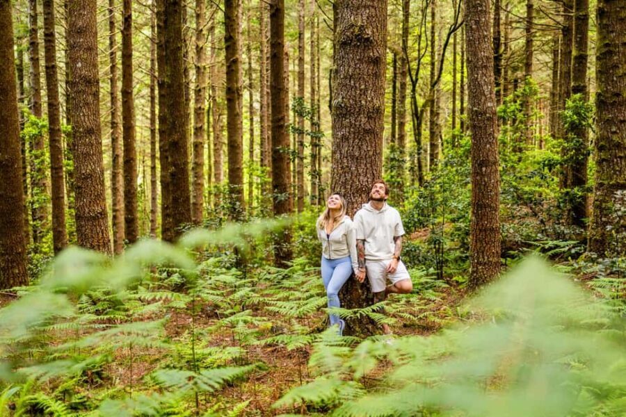 Madeira: Half-Day Guided Photo Tour - The Itinerary: A Closer Look