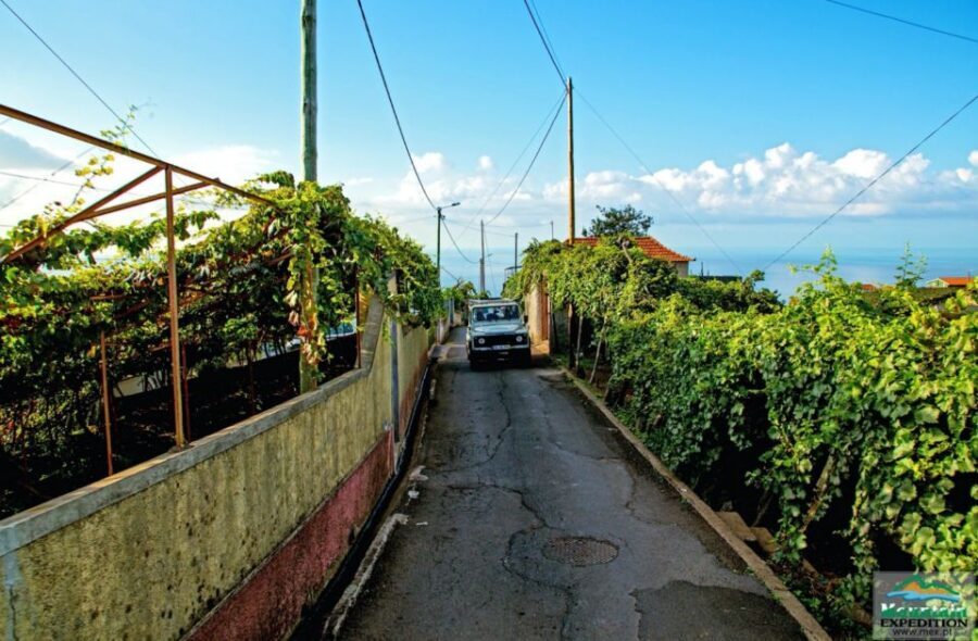 Madeira: Half-Day Nun's Valley and Sea Cliff Tour - The Experience: Pros and Cons
