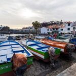 Madeira: Half day Tour to the highest seacliff of Europe - The Pros and Cons