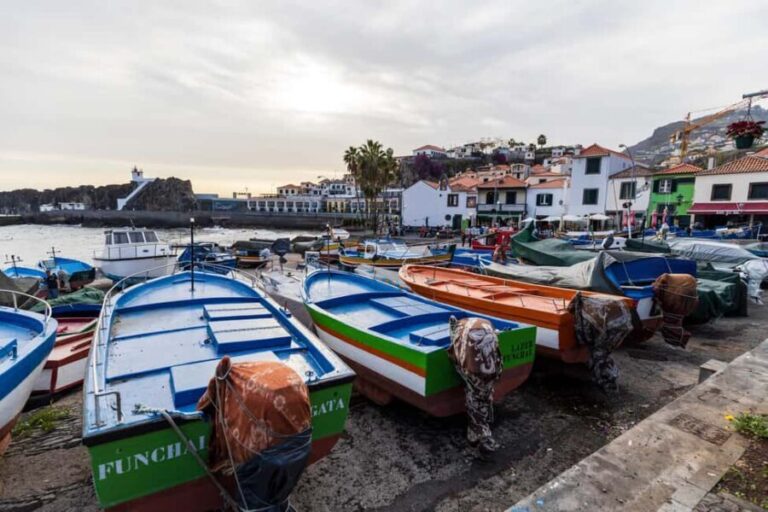 Madeira: Half day Tour to the highest seacliff of Europe - The Pros and Cons