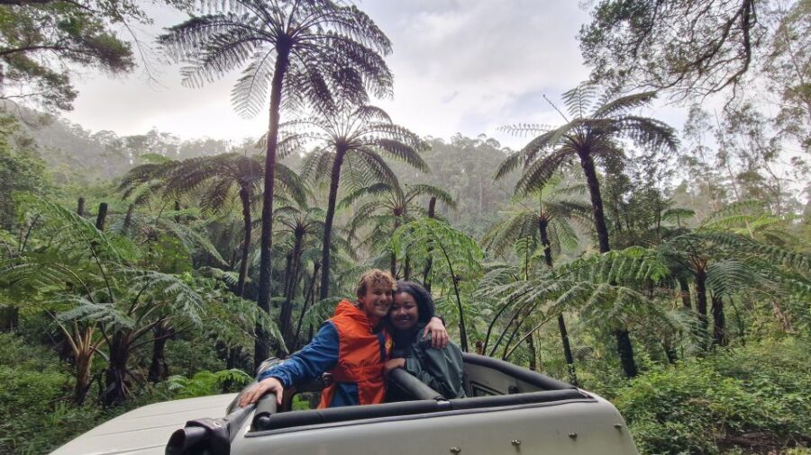 Madeira in one day: Funchal & Eastern Highlights - Itinerary Breakdown: What to Expect