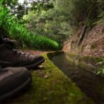 Madeira Island: Caldeirão Verde Levada Walk - What You Need to Know Before You Go