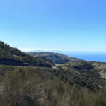 Madeira Island: Full Day Jeep Tour - Pico do Arieiro, East - What Makes This Tour Stand Out