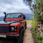 Madeira: Jeep 4x4 Old Forest Safari Tour with Pico Arieiro - What Works Well and What Could Be Better