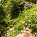 Madeira: Jungle Fever Levada Caldeirao Verde Hike Santana - Is the Price Worth It?