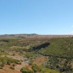 Madeira Lakes - Levada do Alecrim - Who is This Tour Best For?