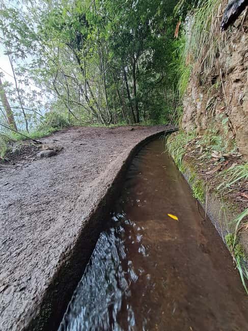 Madeira: Levada do Rei Guided Hike with Hotel Pickup - The Sum Up