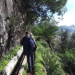Madeira: Levada dos Maroços Hike - Who Should Consider This Tour?