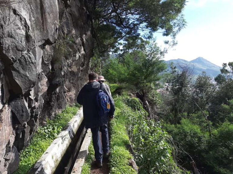 Madeira: Levada dos Maroços Hike - Who Should Consider This Tour?