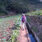 Madeira: Maroços Landscapes 2.5-Hour Guided Walk - The Scenic Itinerary