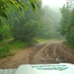 Madeira: Mini-Combo East Challenge: Jeep Safari + Levada - Practical Details and Value