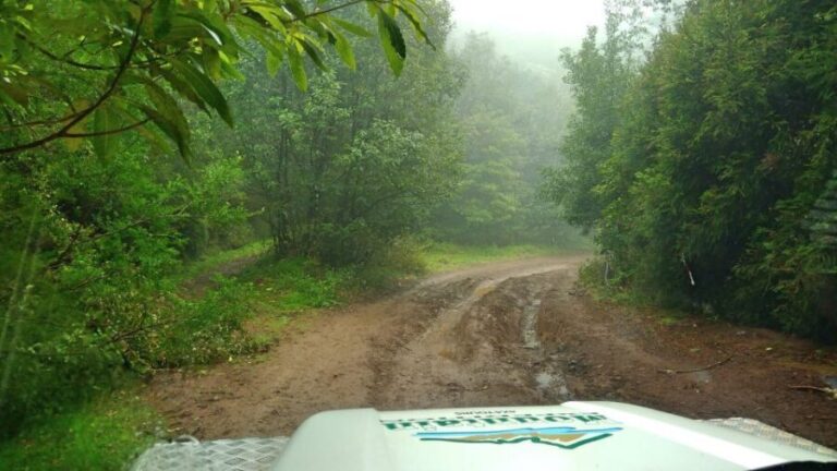 Madeira: Mini-Combo East Challenge: Jeep Safari + Levada - Practical Details and Value