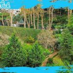 Madeira: Monte Toboggan & Old Town Guided Tuk Tour by MadTuk - The Itinerary Breakdown