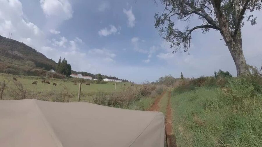 Madeira: Northwest Jeep Tour - The Route and Stops