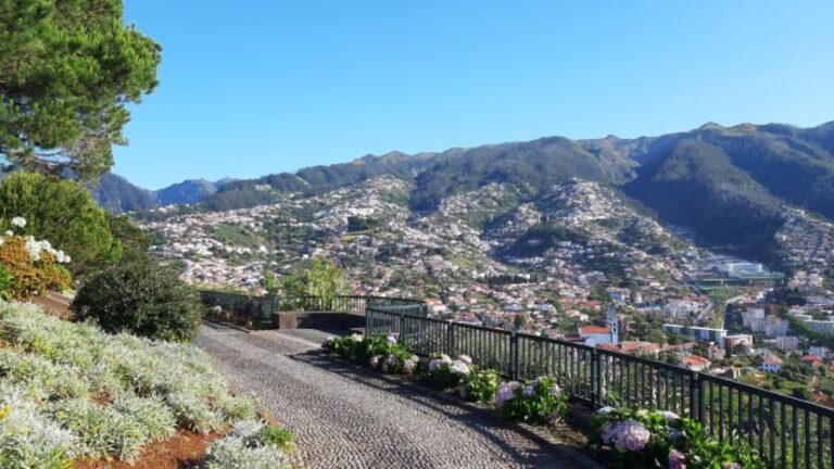 Madeira: Nun's Valley Private Tour - The Scenic Highlights and Why They Matter