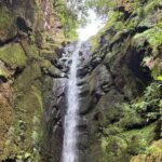 Madeira Off-Road 4x4 Jeep Adventure Private Full day Tour - Transportation and Duration