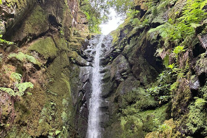 Madeira Off-Road 4x4 Jeep Adventure Private Full day Tour - Transportation and Duration