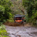 Madeira: OFF-ROAD BUGGY ADVENTURE TO FUNDURAS - The Balance of Adventure and Safety
