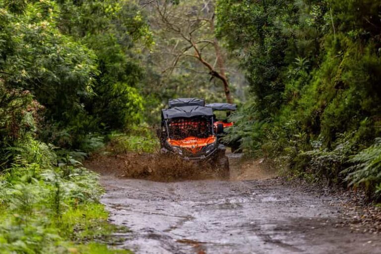 Madeira: OFF-ROAD BUGGY ADVENTURE TO FUNDURAS - The Balance of Adventure and Safety