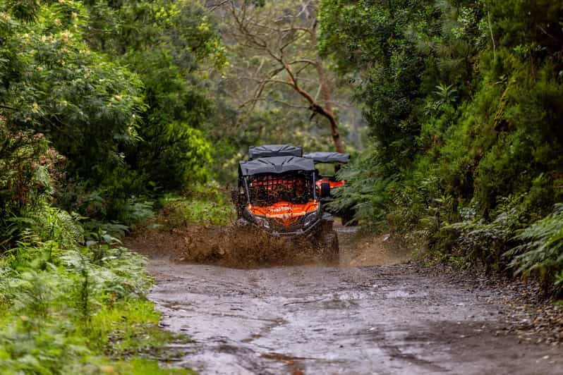 Madeira: OFF-ROAD BUGGY ADVENTURE TO FUNDURAS - The Balance of Adventure and Safety