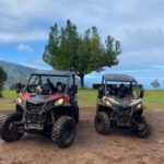 Madeira: Off-Road Buggy Driving Experience - Practical Tips