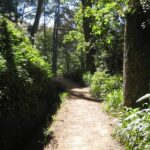 Madeira: Paradise Valley Levada Walk - What Do the Reviews Say?