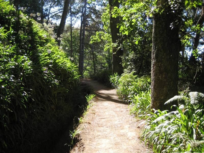 Madeira: Paradise Valley Levada Walk - What Do the Reviews Say?