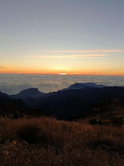 Madeira: Pico do Arieiro Sunrise Tour - Who Is This Tour Perfect For?