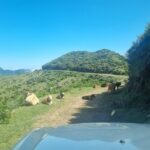 Madeira: Picturesque Peaks and Skywalk private 4x4 Jeep tour - Getting to Know the Tour