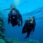 Madeira: Ponta de São Lourenço Shore Dive (certified divers) - What makes this dive special?