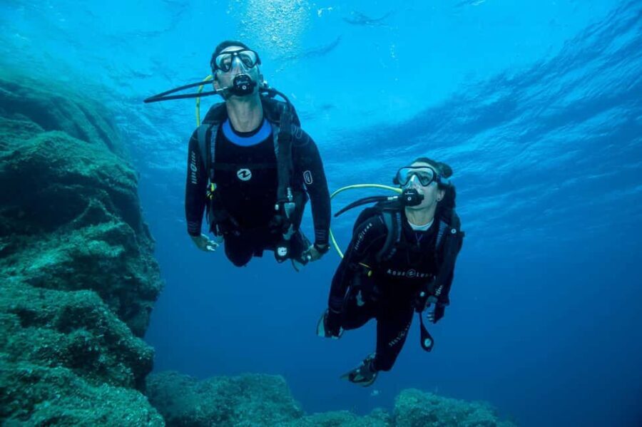 Madeira: Ponta de São Lourenço Shore Dive (certified divers) - What makes this dive special?