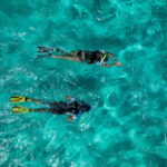 Madeira: Ponta de São Lourenço Snorkeling Boat trip - The Value of the Experience