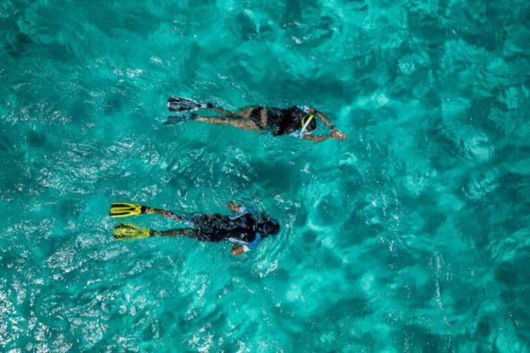 Madeira: Ponta de São Lourenço Snorkeling Boat trip - The Value of the Experience
