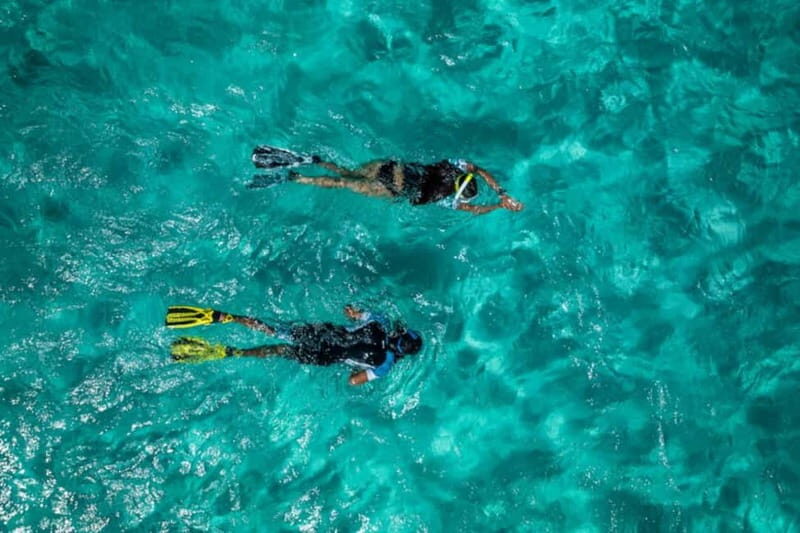 Madeira: Ponta de São Lourenço Snorkeling Boat trip - The Value of the Experience