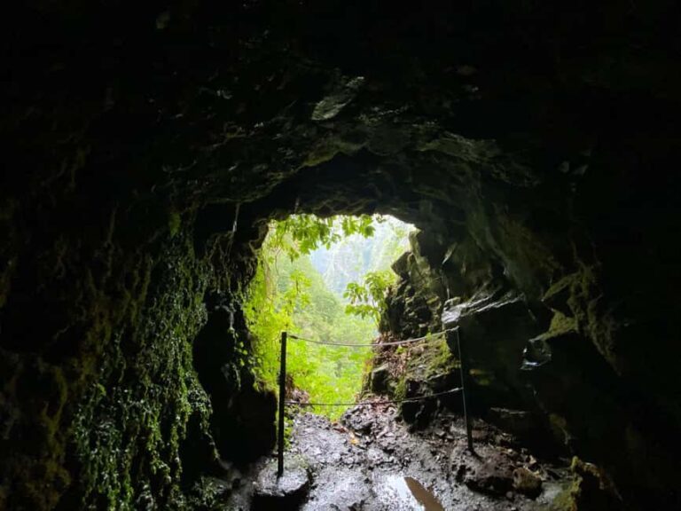 Madeira: PR 9 - Levada do Caldeirão Verde Hike Transfer - Logistics and Practicalities