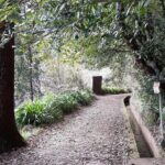 Madeira: Private 1.5-Kilometer Levada dos Balcões Hike PR11 - Authentic Feedback from Travelers