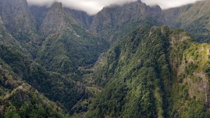 Madeira: Private 1.5-Kilometer Levada dos Balcões Hike PR11 - What’s Included & What’s Not