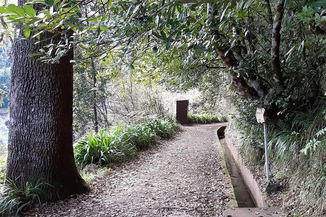 Madeira: Private 1.5-Kilometer Levada dos Balcões Hike PR11 - Authentic Feedback from Travelers