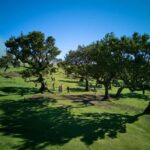 Madeira: PRIVATE 4x4 Jeep Tour - The Experience and the Guide