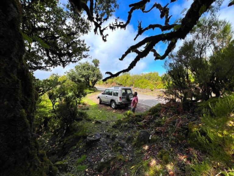 Madeira private 4x4 tour: North-West Coast - The Inside Scoop on the Experience
