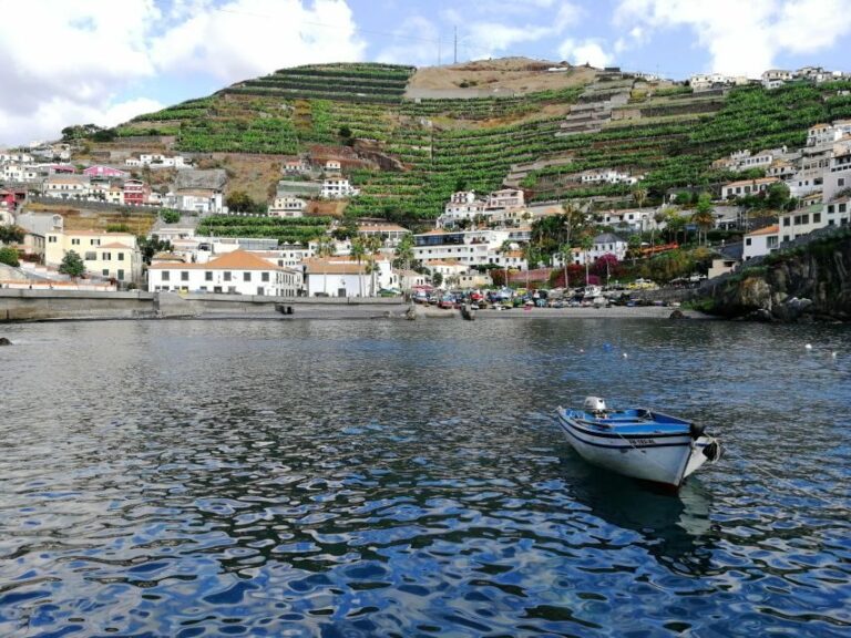 MADEIRA: Private Camara de Lobos Tour in a Tukxi - The Practical Details: What You Need to Know
