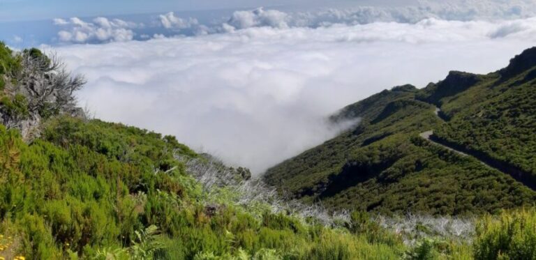 Madeira: Private Guided Achadas Teixeira - Pico Ruivo PR1.1 - What to Expect During Your 4 Hours