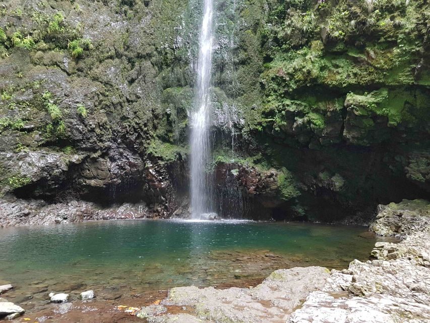 Madeira: Private Guided Levada Caldeirão Verde Walk PR9 - The Itinerary — What to Expect