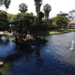 Madeira: Private Half-Day Guided Gardens Tour - Final Thoughts