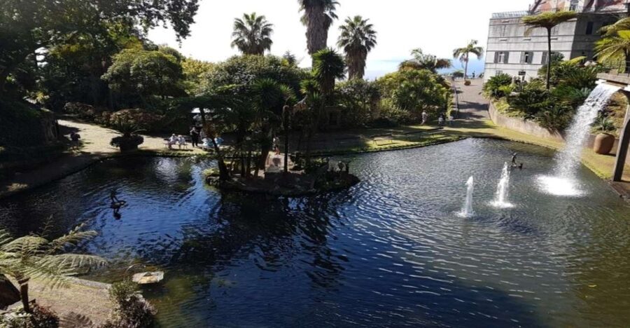 Madeira: Private Half-Day Guided Gardens Tour - Final Thoughts