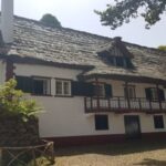 Madeira: Private Half-Day North East Island Tour - What Do the Reviews Say?